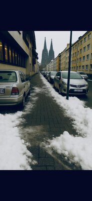 Straßenrand-schnee_autos.jpeg